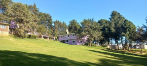Hotel Bosques